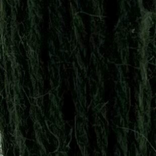 Appleton Crewel Wool 298 lana da ricamo verde