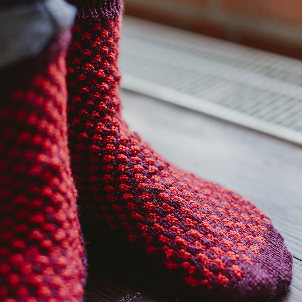 Pascuali Somya Socks schema calze lana jacquard