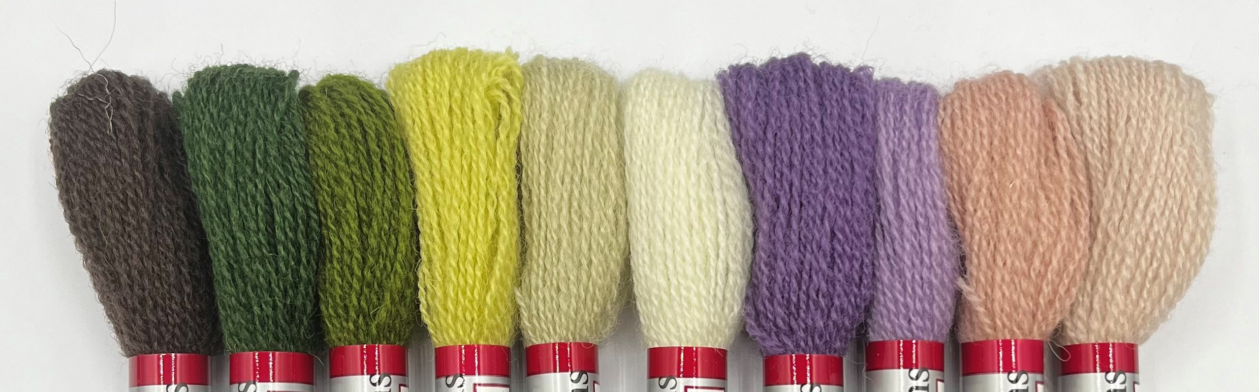 Appleton Autumn Crewel set lane ricamo toni autunnali