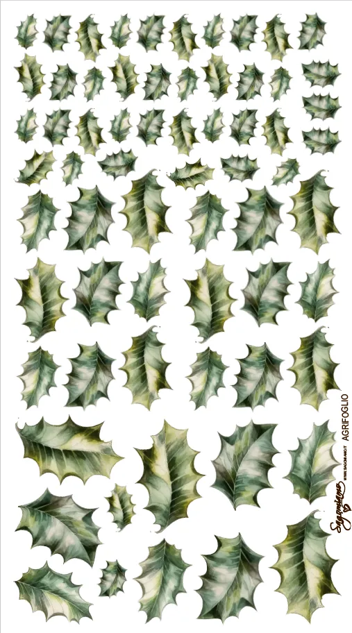 Il Filo di Arianna Pan 03 pannello agrifoglio 25x45