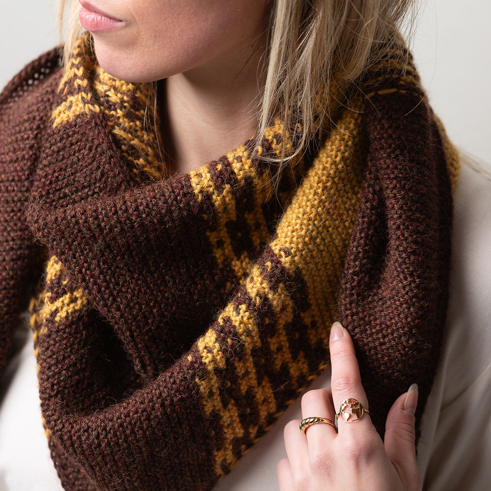 Pascuali Campi di Miele Shawl schema maglia mosaico