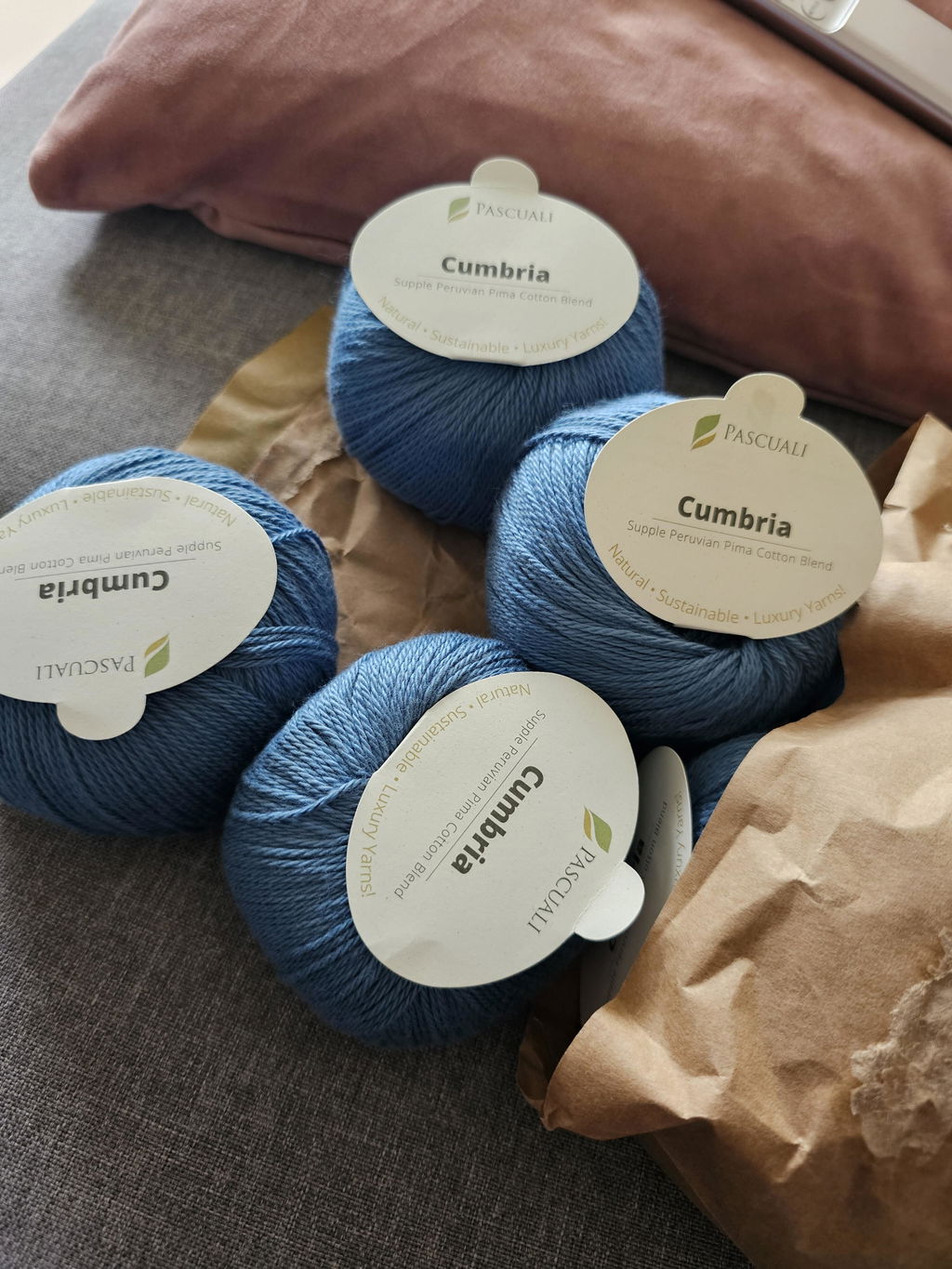 Pascuali Cumbria filato cotone Pima e bamboo vegano