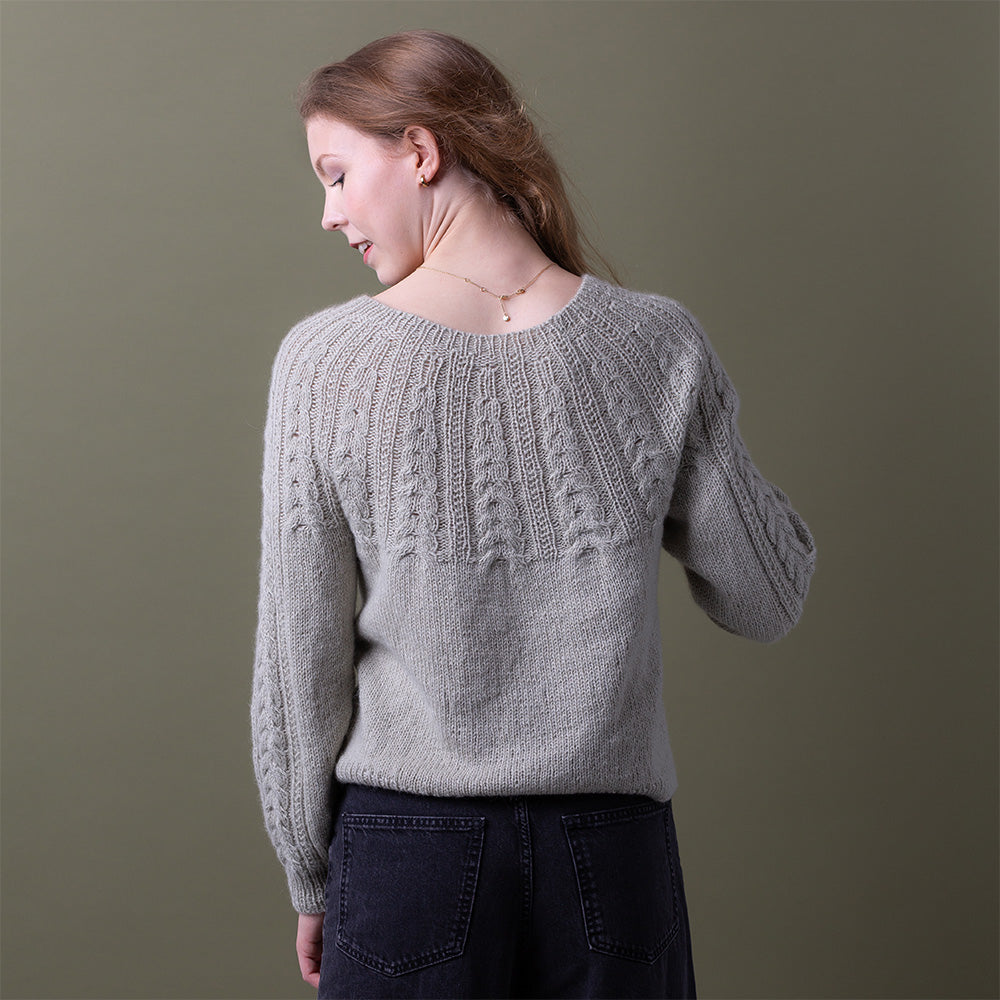 Pascuali Winter Sunbeams Schema Maglia Maglione Top Down