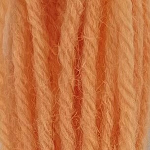 Appleton Crewel Wool 861 lana da ricamo corallo