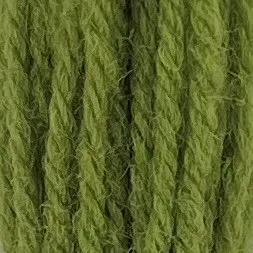 Appleton Crewel Wool 544 lana da ricamo verde inglese