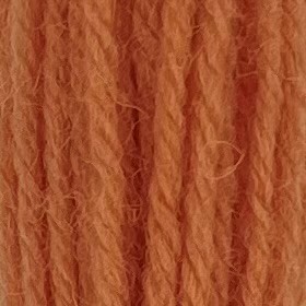 Appleton Crewel Wool 854 filo ricamo corallo opaco tinta unita