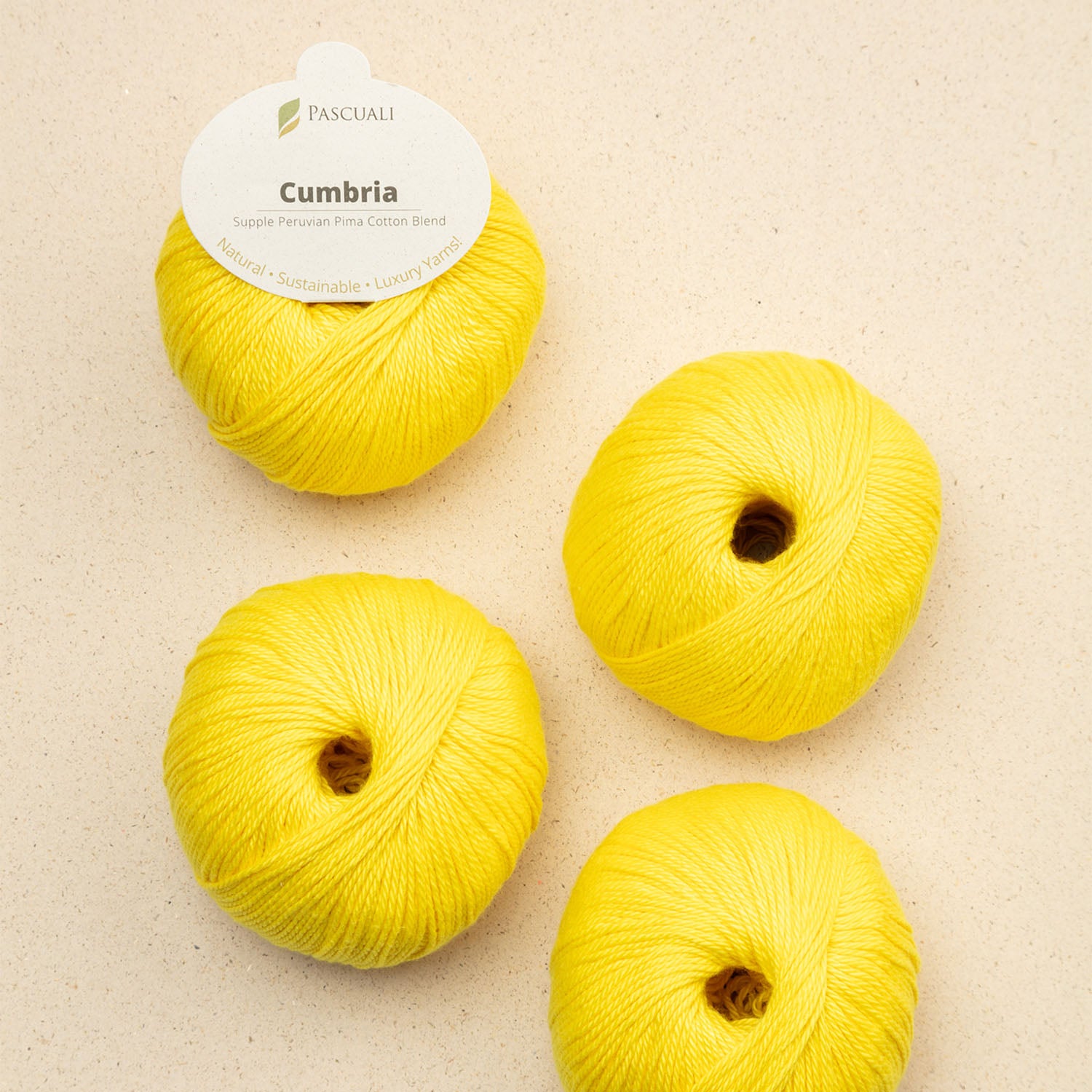 Pascuali Cumbria filato cotone Pima e bamboo vegano