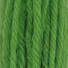 Appleton Crewel Wool 424 lana verde foglia 1 matassina