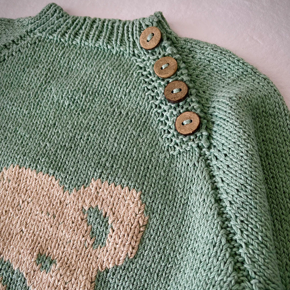 Pascuali Bora schema maglia pullover neonato raglan