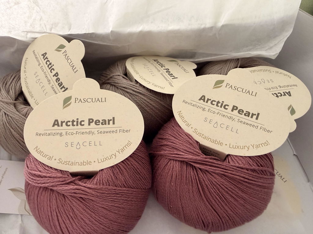 Pascuali Arctic Pearl filato vegano Seaweed 18