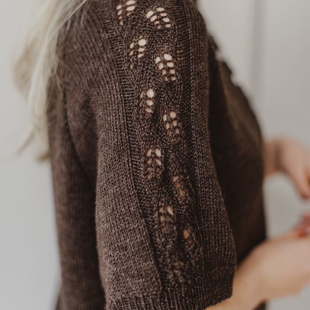 Pascuali Aleda blusa schema maglia pizzo PDF