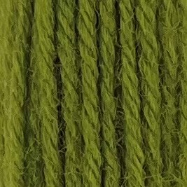Appleton Bros. Crewel Wool 254 lana da ricamo Grass Green tinta unita