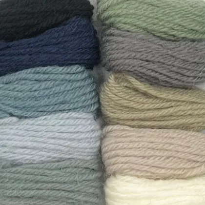 Appleton Winter 4 Ply lana arazzo collezione colori