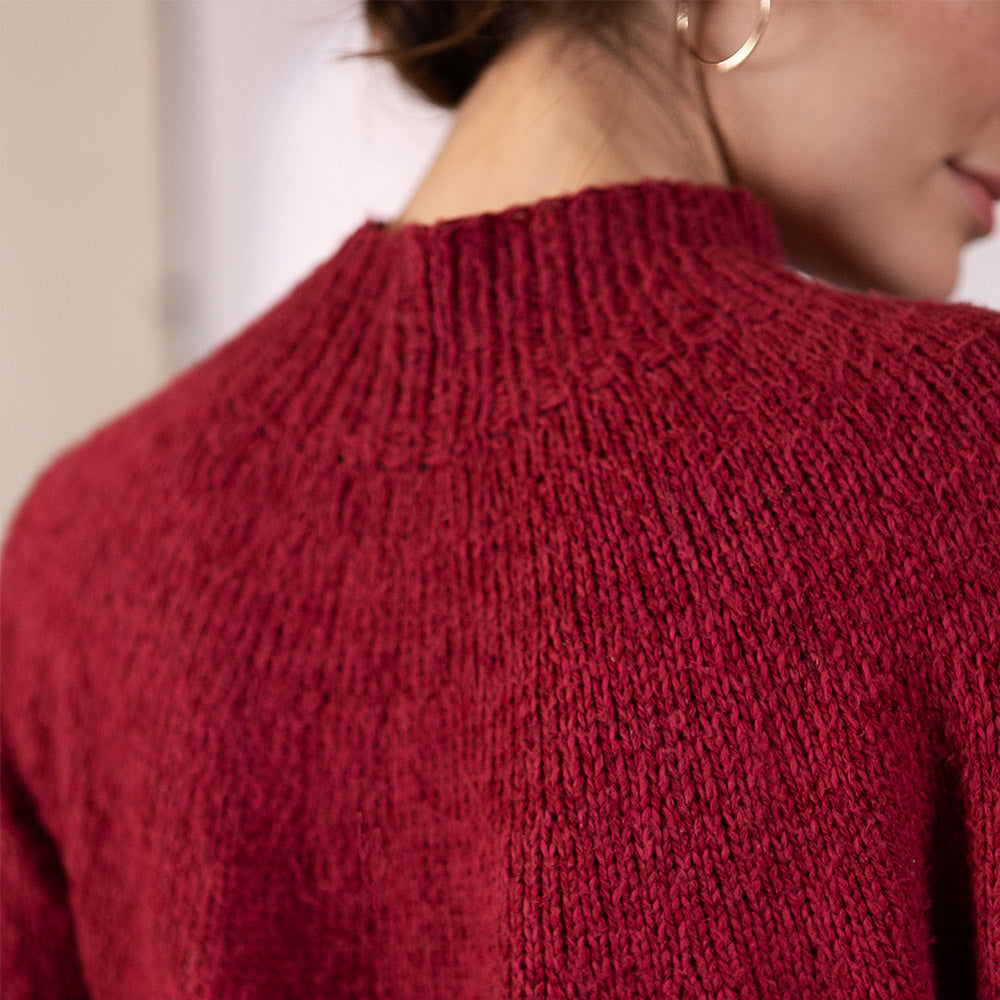 Pascuali Rana Pullover schema maglia collo alto top down