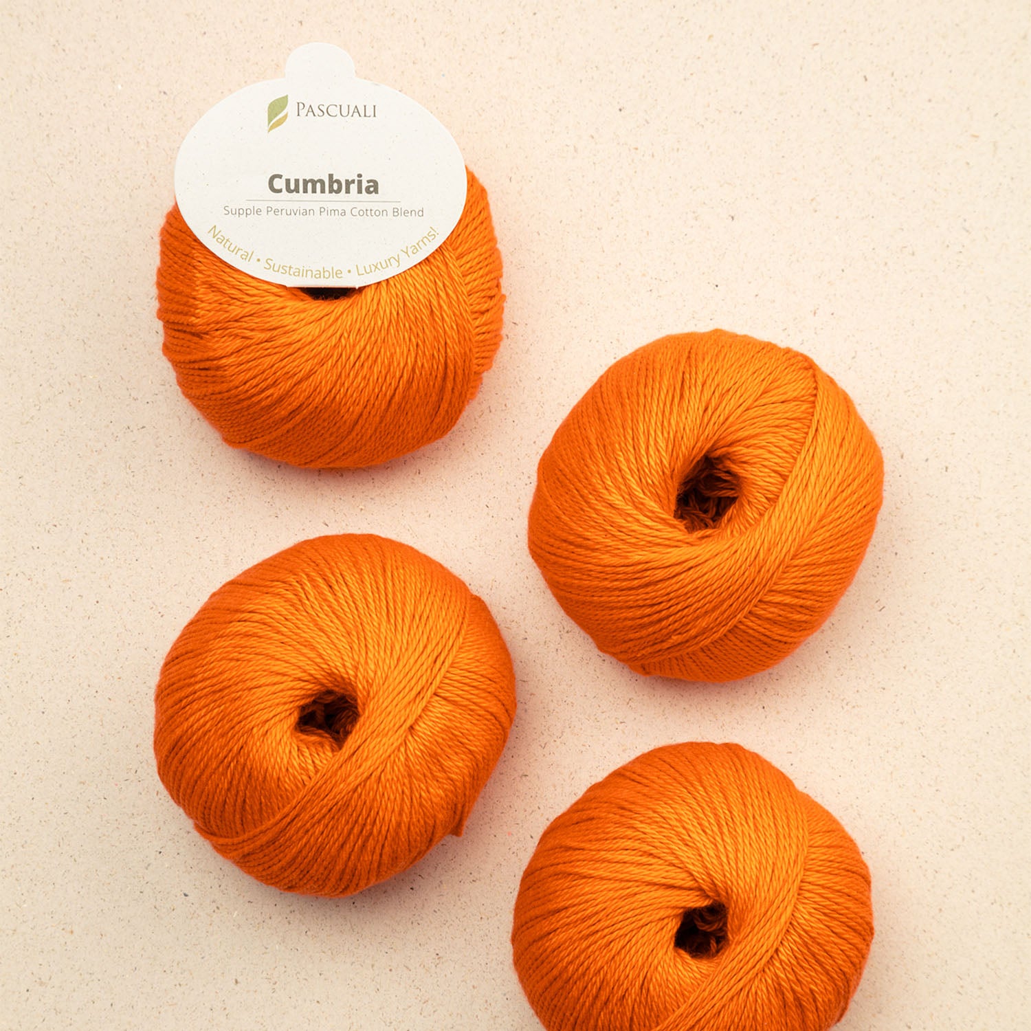 Pascuali Cumbria filato cotone Pima e bamboo vegano