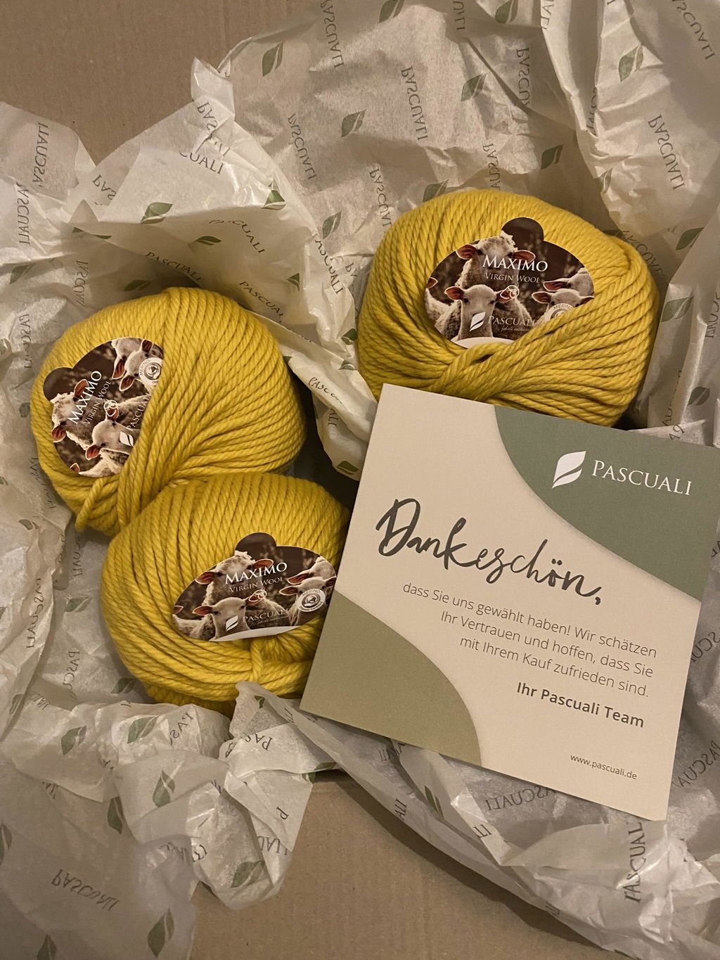 Pascuali Maximo filato merino chunky spesso lavabile