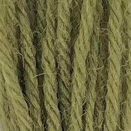Appleton Crewel 343 filato lana verde oliva medio