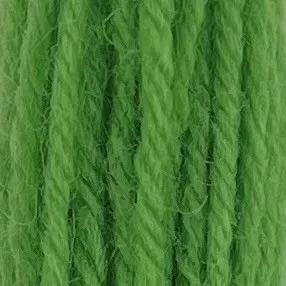 Appleton Crewel Wool 424 lana verde foglia 1 matassina