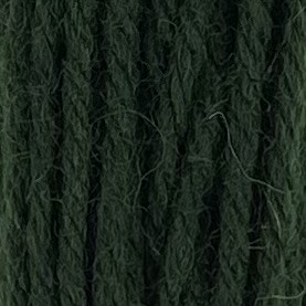 Appleton Crewel Wool 407 filato lana verde Sea Green