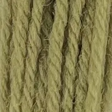 Appleton Crewel Wool 342 lana da ricamo verde oliva