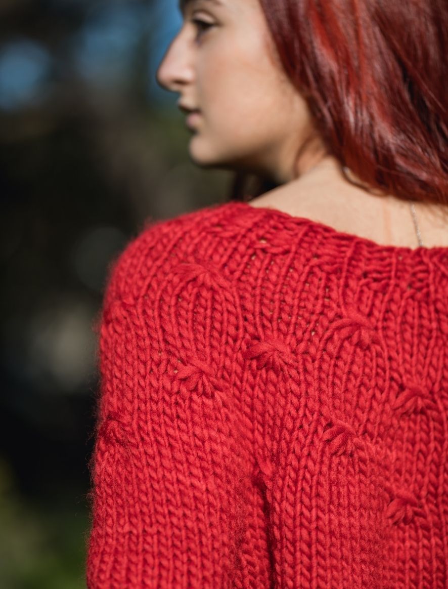 Rosarios4 313 Camisola Poinsettia schema maglia maglione