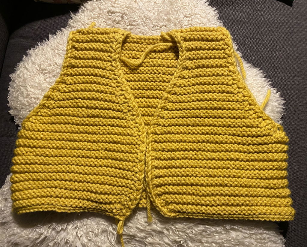 Pascuali Maximo filato merino chunky spesso lavabile