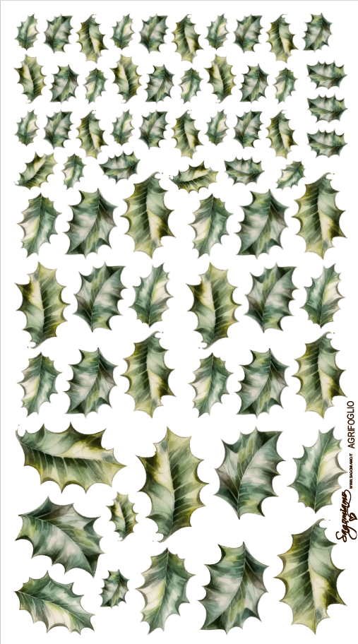 Il Filo di Arianna Pan 03 pannello agrifoglio 25x45