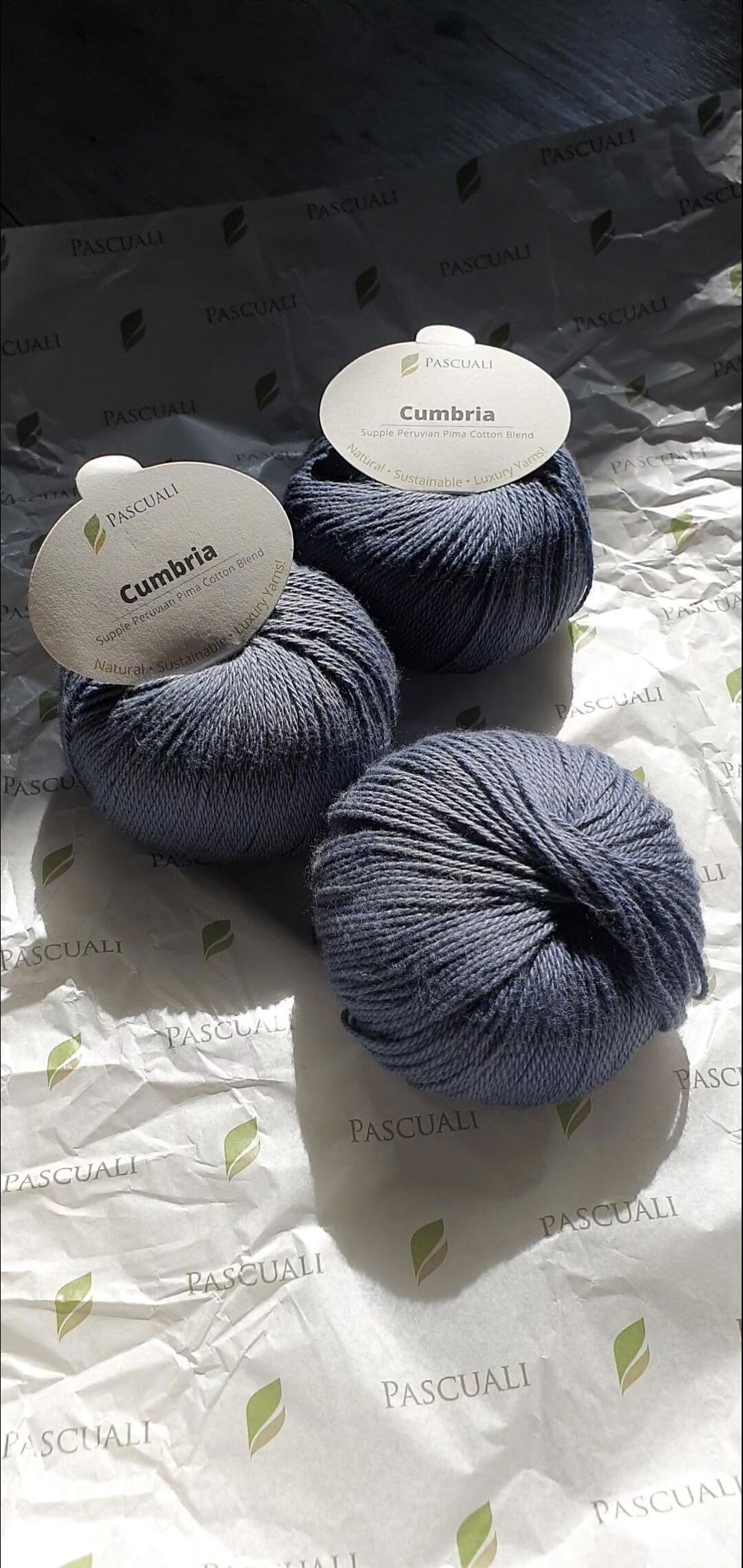 Pascuali Cumbria filato cotone Pima e bamboo vegano