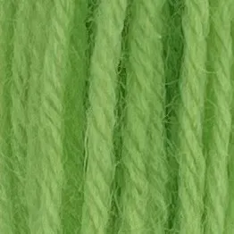 Appleton Crewel 422 filo lana da ricamo Leaf Green tinta unita