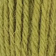 Appleton Crewel 241 lana da ricamo verde oliva matassina