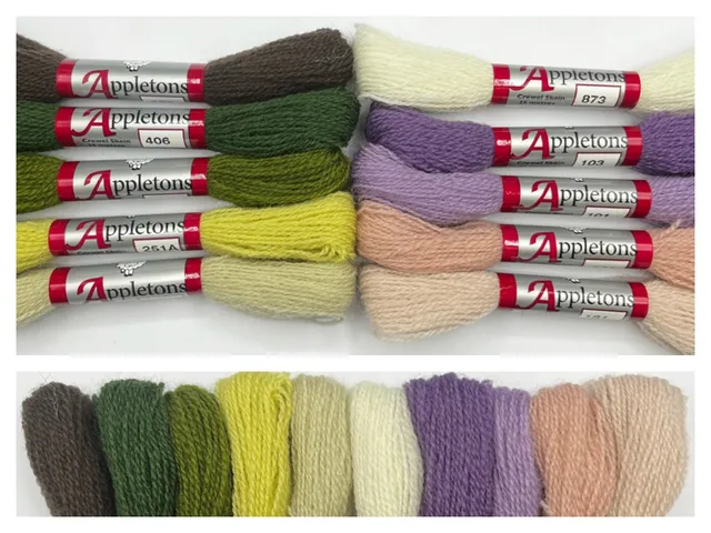 Appleton Autumn Crewel set lane ricamo toni autunnali
