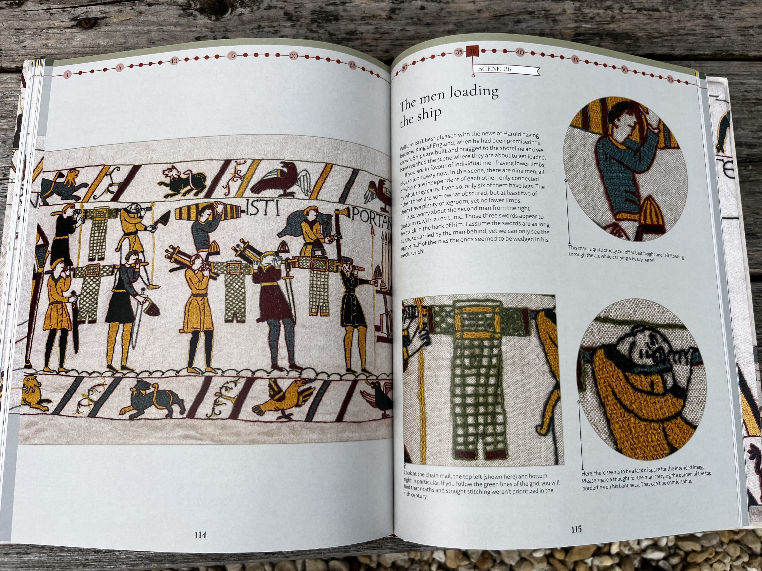 Appleton Embroider the Bayeux Tapestry libro ricamo arazzo