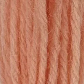 Appleton Crewel 621 lana da ricamo Flamingo tinta unita