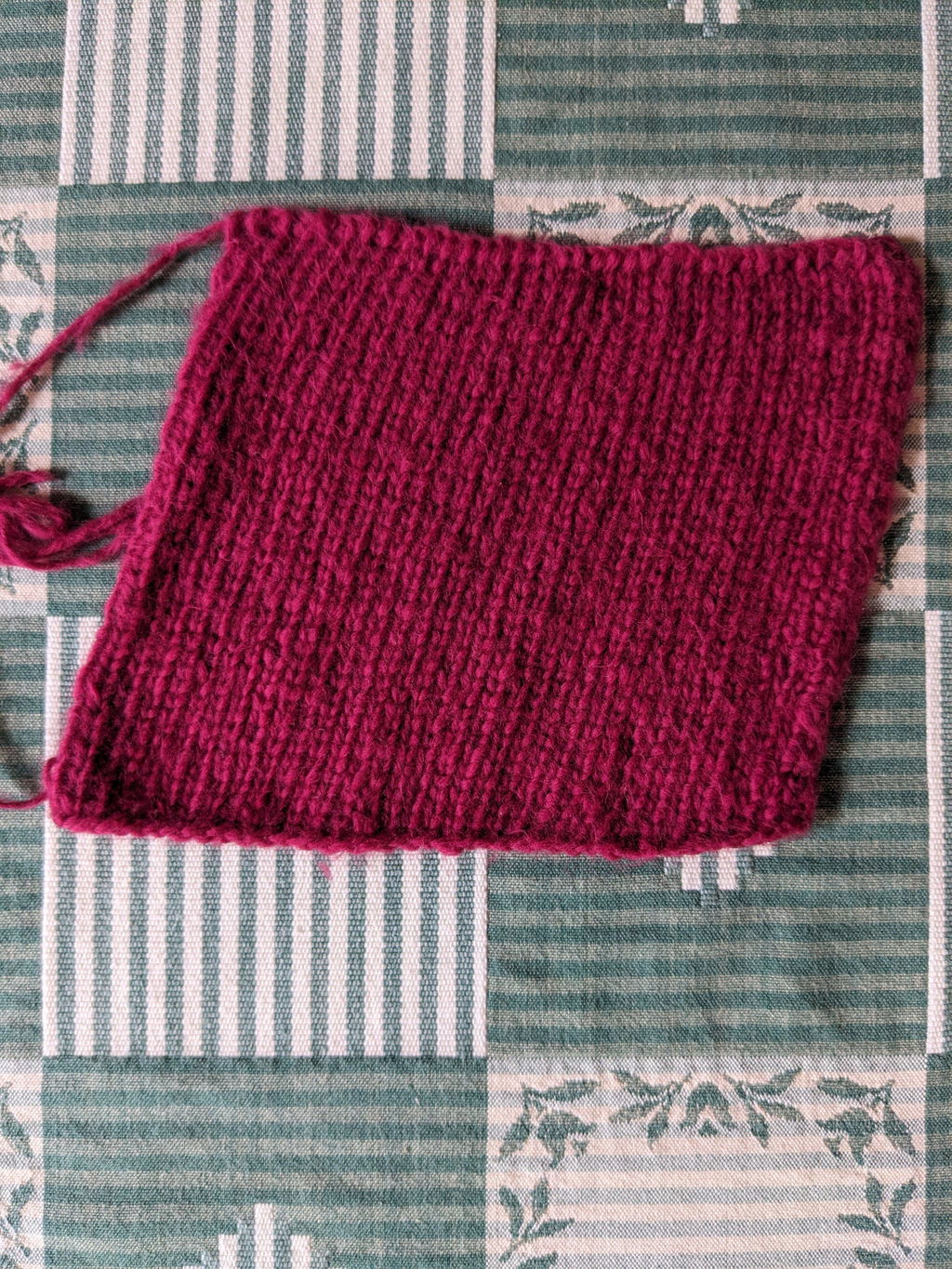Pascuali Suave filato cotone bio
