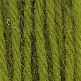Appleton Crewel Wool 253 lana da ricamo verde erba