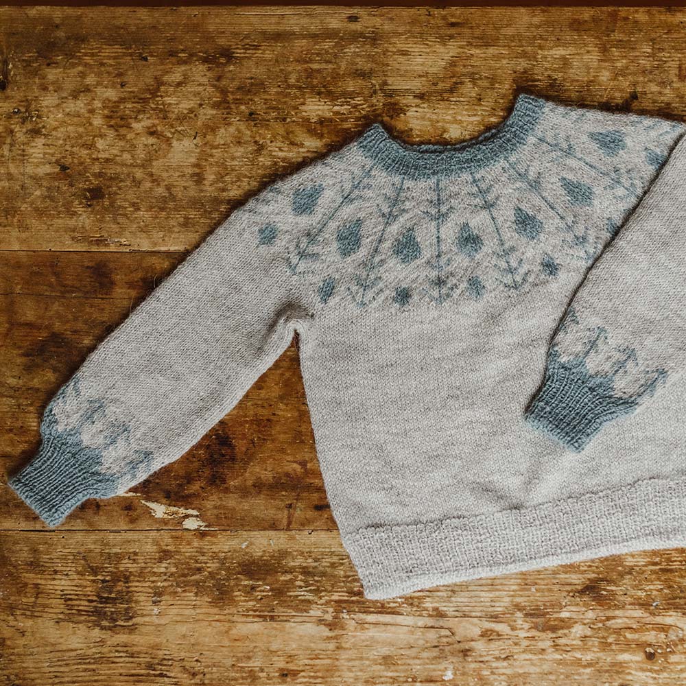 Pascuali Moyara schema maglione bambino jacquard