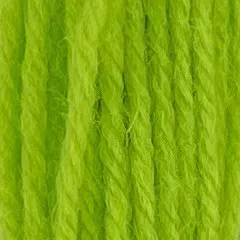 Appleton Crewel Wool 685 filato lana verde sherbet