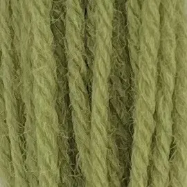 Appleton Crewel Wool 542 lana ricamo verde inglese