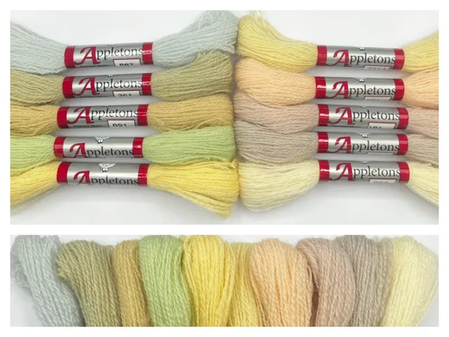 Appleton Hints of Colour set fili crewel assortiti prova colore