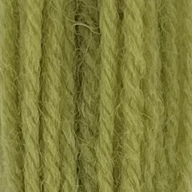 Appleton Crewel Wool 251a lana da ricamo verde erba