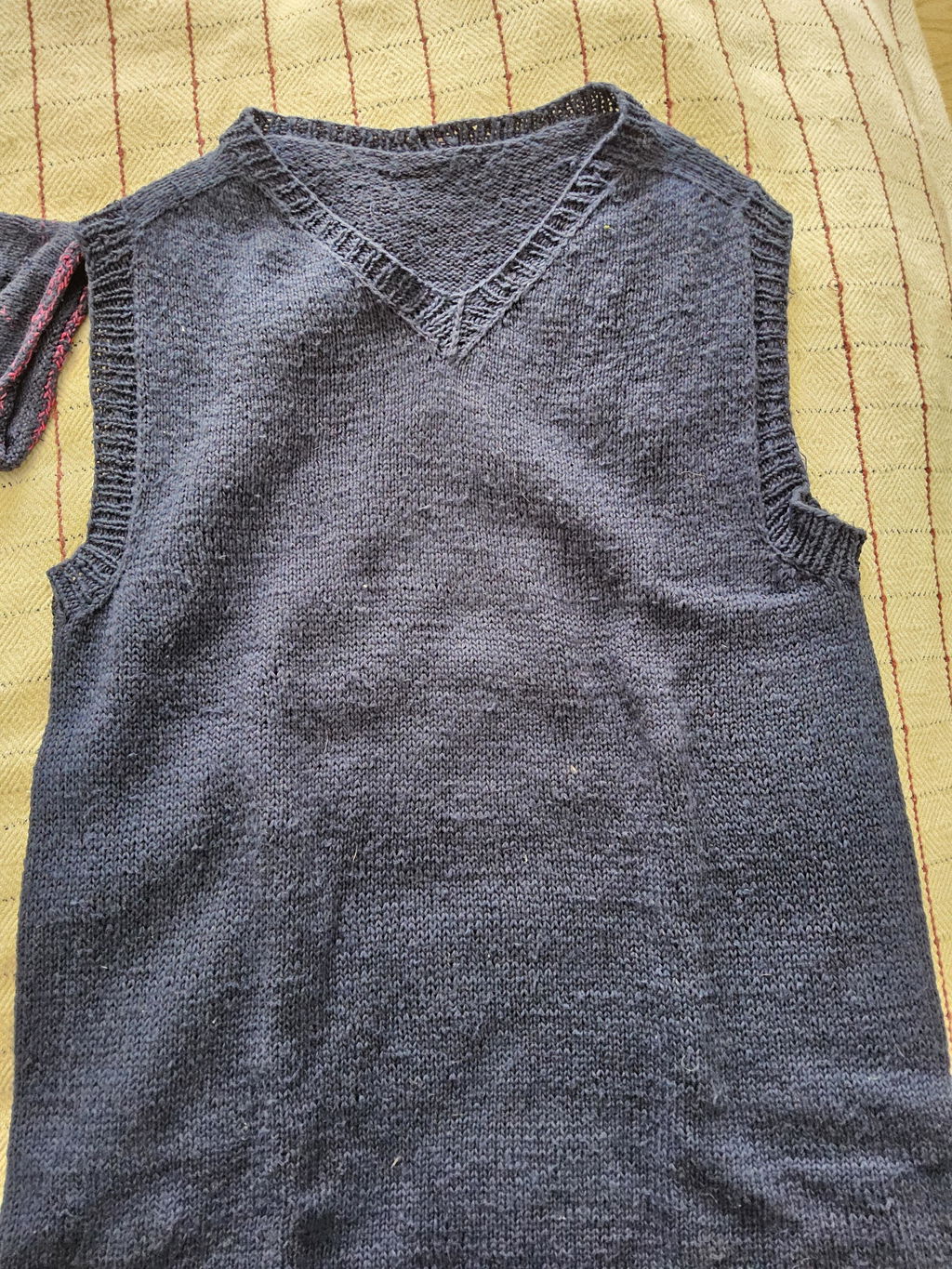 Pascuali Suave filato cotone bio