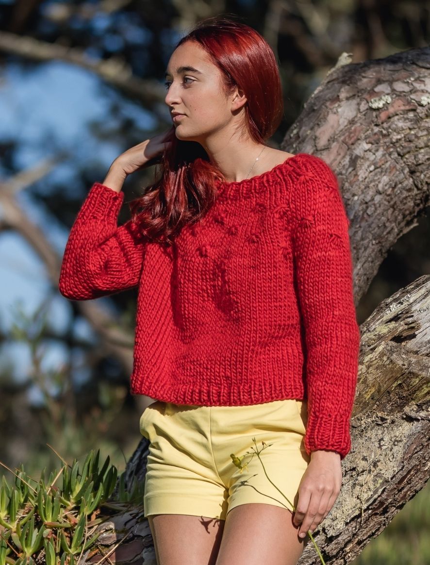 Rosarios4 313 Camisola Poinsettia schema maglia maglione