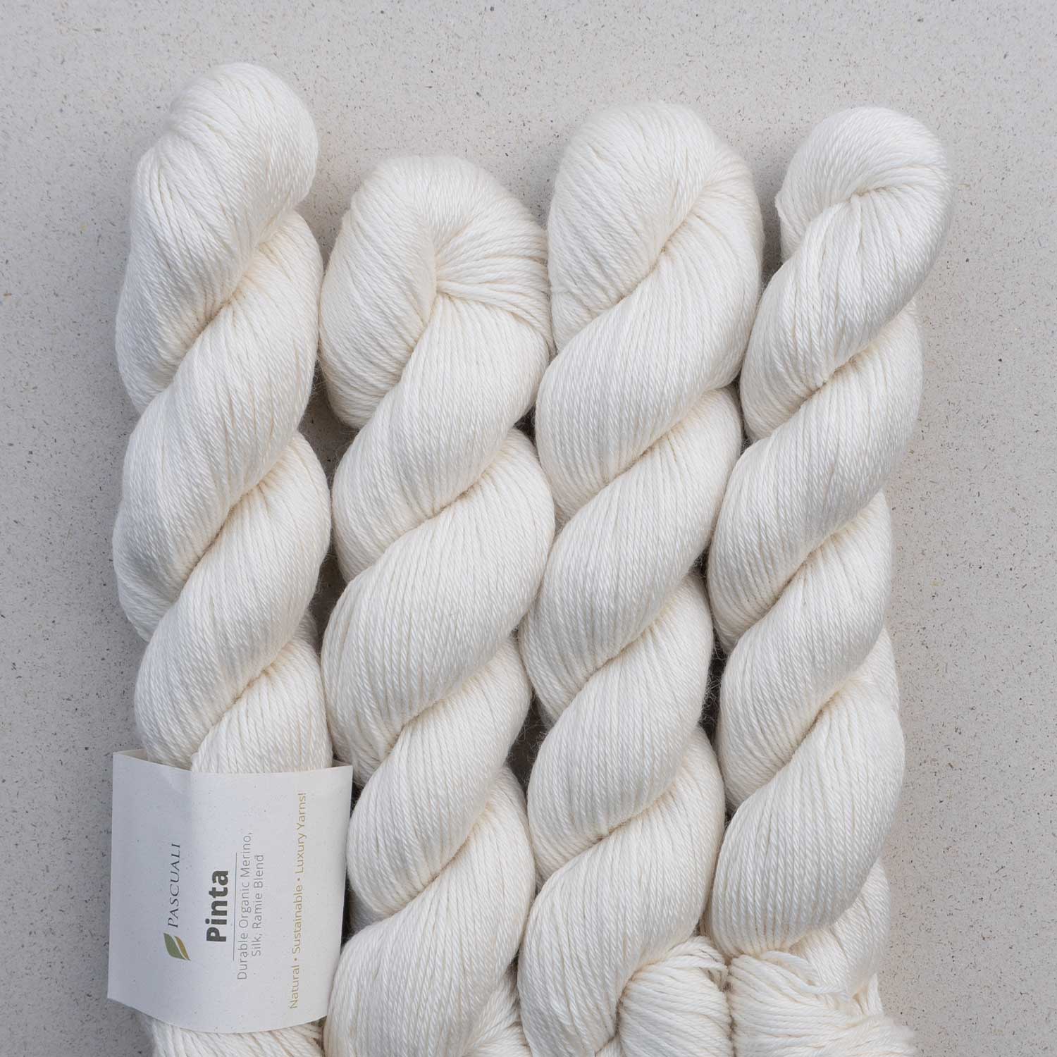 Pascuali Pinta filato merino seta ramie
