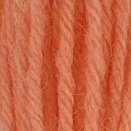 Appleton Crewel Wool 622 filo lana flamingo