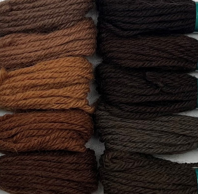 Appleton Crewel Browns collezione fili marroni 2 capi