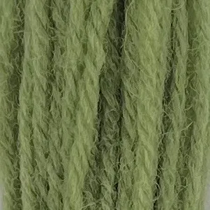 Appleton Crewel Wool 401 lana da ricamo verde mare