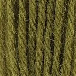 Appleton Crewel Wool 243 filo di lana Olive Green